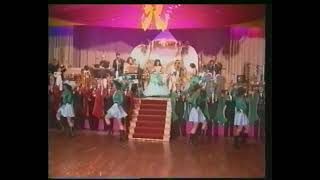 fasching inthronisation einzug