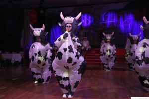 Damisch Moosburg 2024