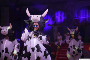 Damisch Moosburg 2024