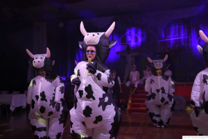 Damisch Moosburg 2024