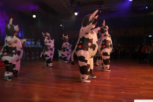 Damisch Moosburg 2024