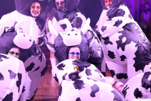 Damisch Moosburg 2024